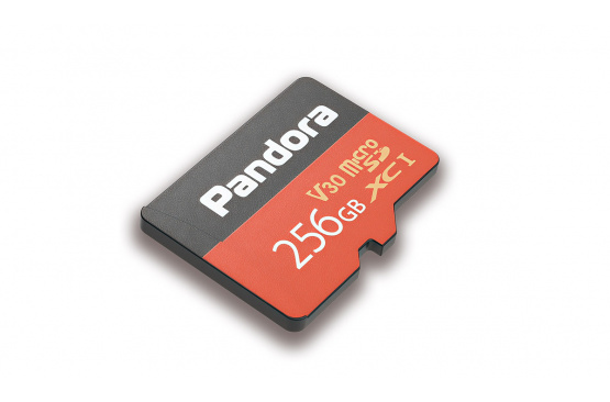 Карта памяти Pandora MicroSD 256 GB