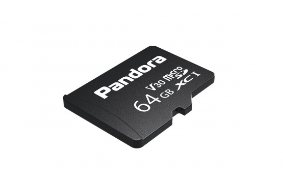 Карта памяти Pandora SD 256 GB